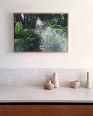 After Hover: Nebel im Regenwald