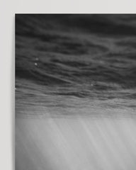 After Hover: Delfine unter Wasser - Schwarz-Weiß