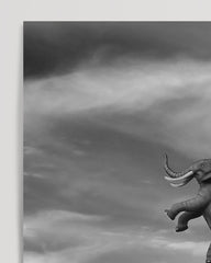 After Hover: Vintage Zirkus - Schwarz-Weiß