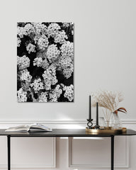 After Hover: Blumen - Schwarz-Weiß