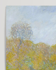 After Hover: Claude Monet - Wiese in Giverny