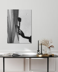 After Hover: Rose im Schatten - Schwarz-Weiß