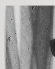 After Hover: Rose im Schatten - Schwarz-Weiß