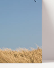 After Hover: Leuchtturm an Dünen