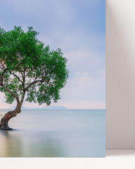 After Hover: Baum im Wasser