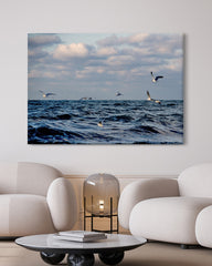 After Hover: Möven am Wasser