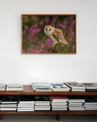 After Hover: Eule in Blumenlandschaft