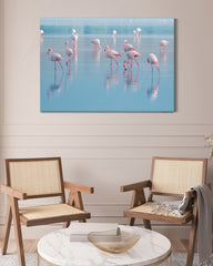 After Hover: Flamingos im Wasser