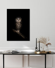 After Hover: Eule auf schwarzem Hintergrund