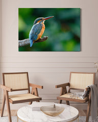 After Hover: Eisvogel auf einem Ast