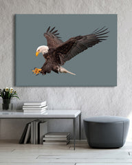 After Hover: Fliegender Weißkopfseeadler