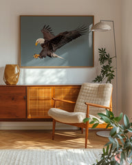 After Hover: Fliegender Weißkopfseeadler