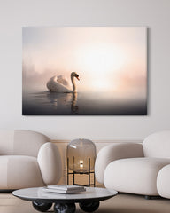 After Hover: Schwimmender Schwan