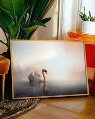 After Hover: Schwimmender Schwan