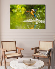 After Hover: Jagender Eisvogel am Wasser