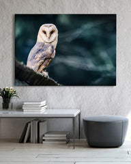 After Hover: Elegante Eule