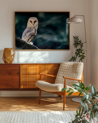 After Hover: Elegante Eule