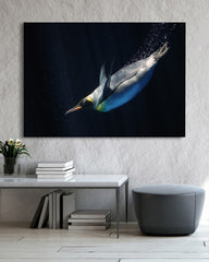 After Hover: Schwimmender Pinguin