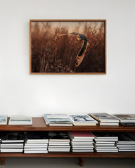 After Hover: Fliegende Eule