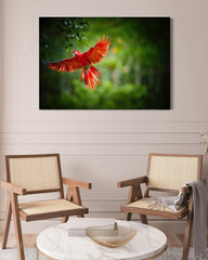 After Hover: Fliegender roter Papagei