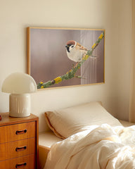 After Hover: Süßer Spatz