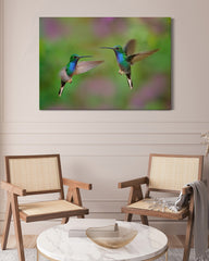 After Hover: Fliegende Kolibris