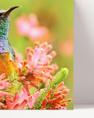 After Hover: Tropischer Vogel in Blumen