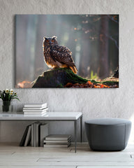 After Hover: Eule im Wald