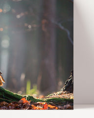 After Hover: Eule im Wald