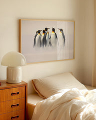 After Hover: Familie von Königspinguinen - Wildtier Fotografie