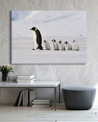 After Hover: Pinguin-Mama mit Küken