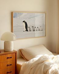 After Hover: Pinguin-Mama mit Küken