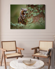 After Hover: Eule hinter Baum