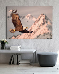 After Hover: Fliegender Adler