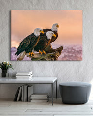 After Hover: Adler in Natur