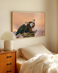 After Hover: Adler in Natur