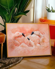 After Hover: Flamingos