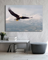 After Hover: Fliegender Weißkopfseeadler