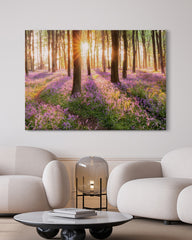 After Hover: Blumenwiese im Wald