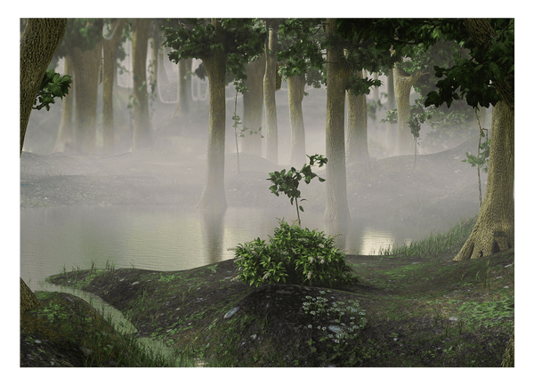 Nebel am Waldsee - Mystisches Naturschauspiel