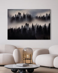 After Hover: Nebel im Wald - Tannen und Baumkronen von oben