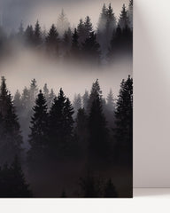 After Hover: Nebel im Wald - Tannen und Baumkronen von oben