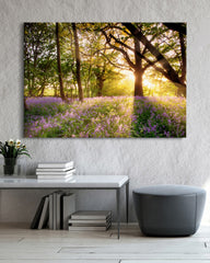 After Hover: Blumen im Wald auf sonniger Lichtung