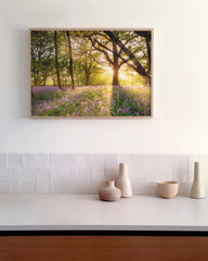 After Hover: Blumen im Wald auf sonniger Lichtung