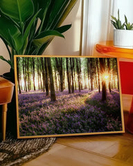 After Hover: Blumenmeer im Wald