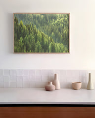 After Hover: Wald von oben - Grüne Baumkronen