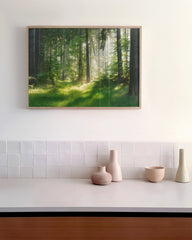 After Hover: Wald im Frühling