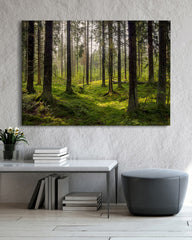 After Hover: Moos im Wald