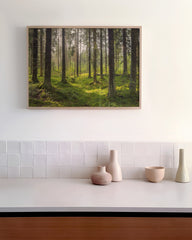 After Hover: Moos im Wald