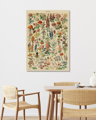 After Hover: Adolphe Philippe Millot - Vintage Blumen-Übersicht